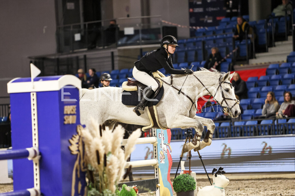 TIHS_2026_Prix-de-Nordic-Hotel-Forum_046