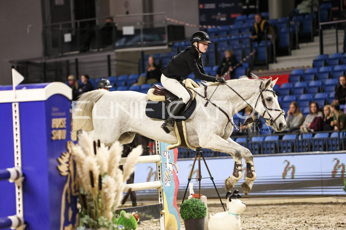 TIHS_2026_Prix-de-Nordic-Hotel-Forum_047
