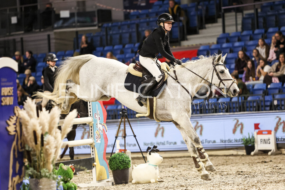 TIHS_2026_Prix-de-Nordic-Hotel-Forum_048