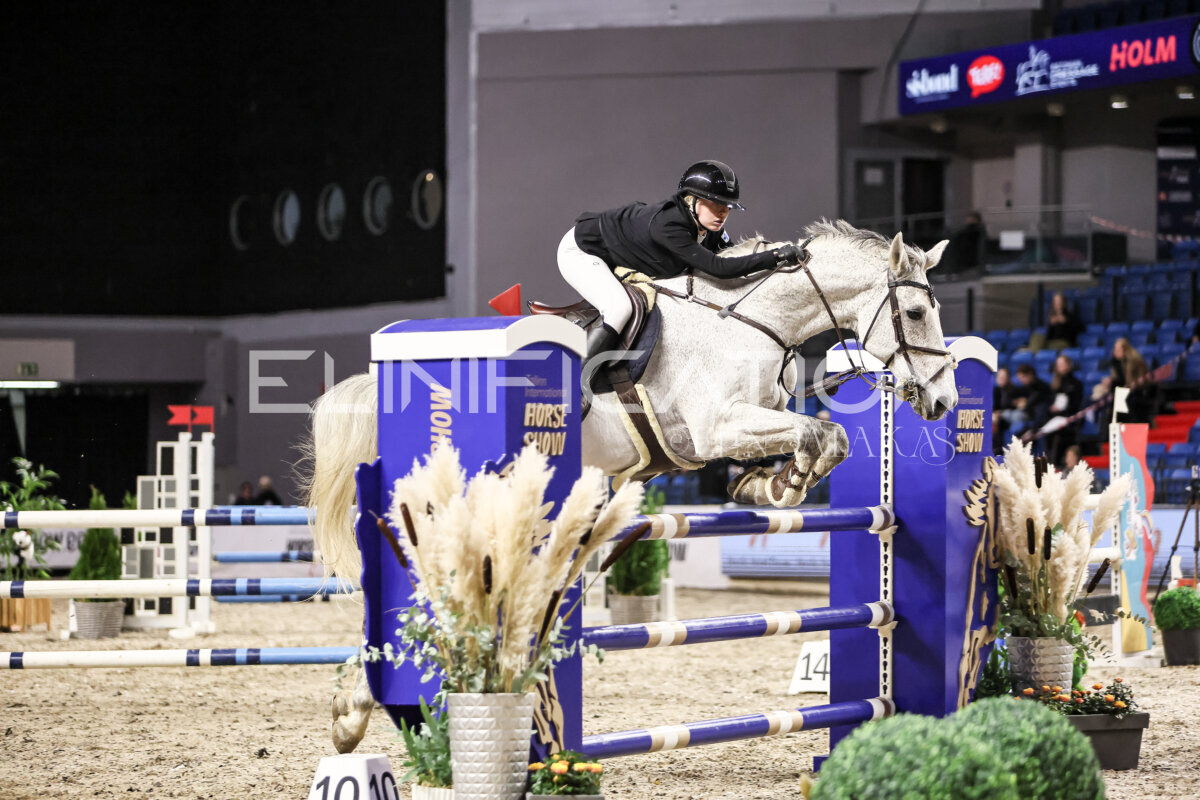 TIHS_2026_Prix-de-Nordic-Hotel-Forum_054