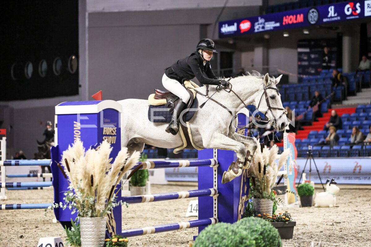 TIHS_2026_Prix-de-Nordic-Hotel-Forum_056
