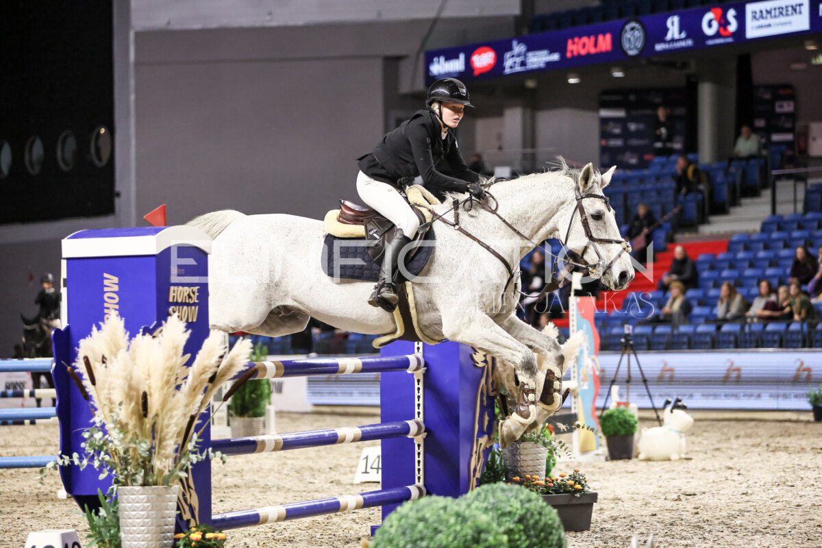 TIHS_2026_Prix-de-Nordic-Hotel-Forum_057