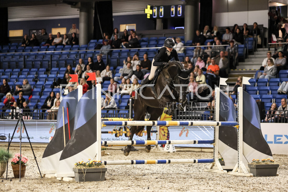 TIHS_2026_Prix-de-Nordic-Hotel-Forum_059