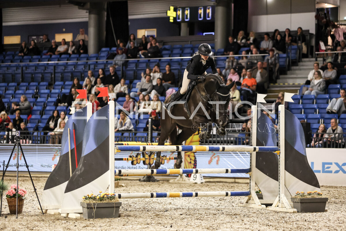 TIHS_2026_Prix-de-Nordic-Hotel-Forum_060