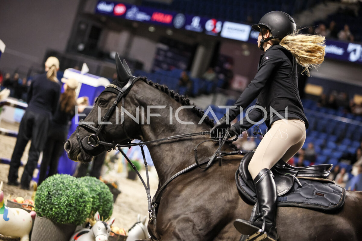 TIHS_2026_Prix-de-Nordic-Hotel-Forum_062