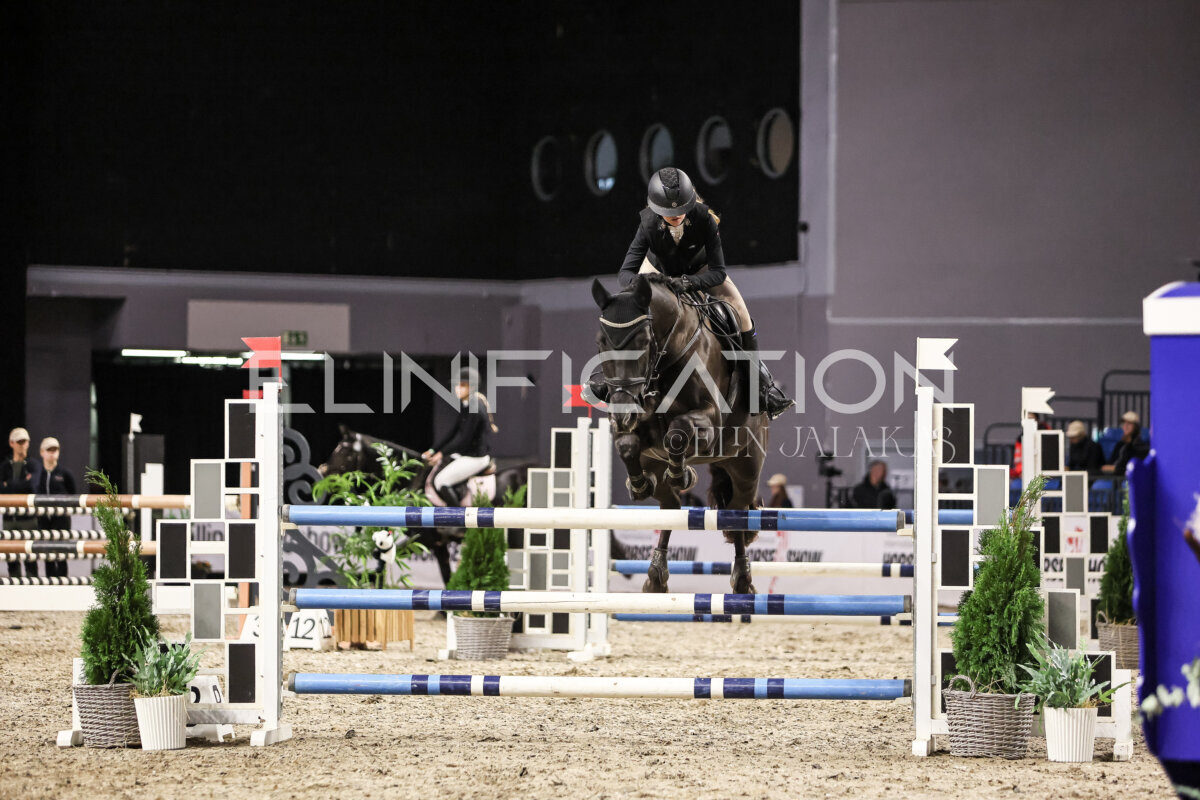 TIHS_2026_Prix-de-Nordic-Hotel-Forum_066