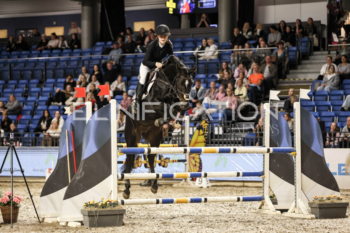 TIHS_2026_Prix-de-Nordic-Hotel-Forum_069