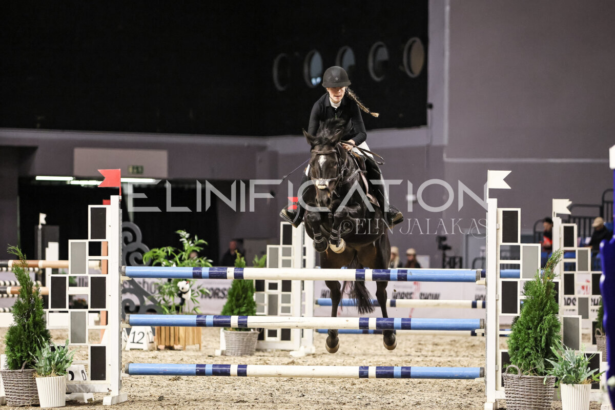 TIHS_2026_Prix-de-Nordic-Hotel-Forum_074