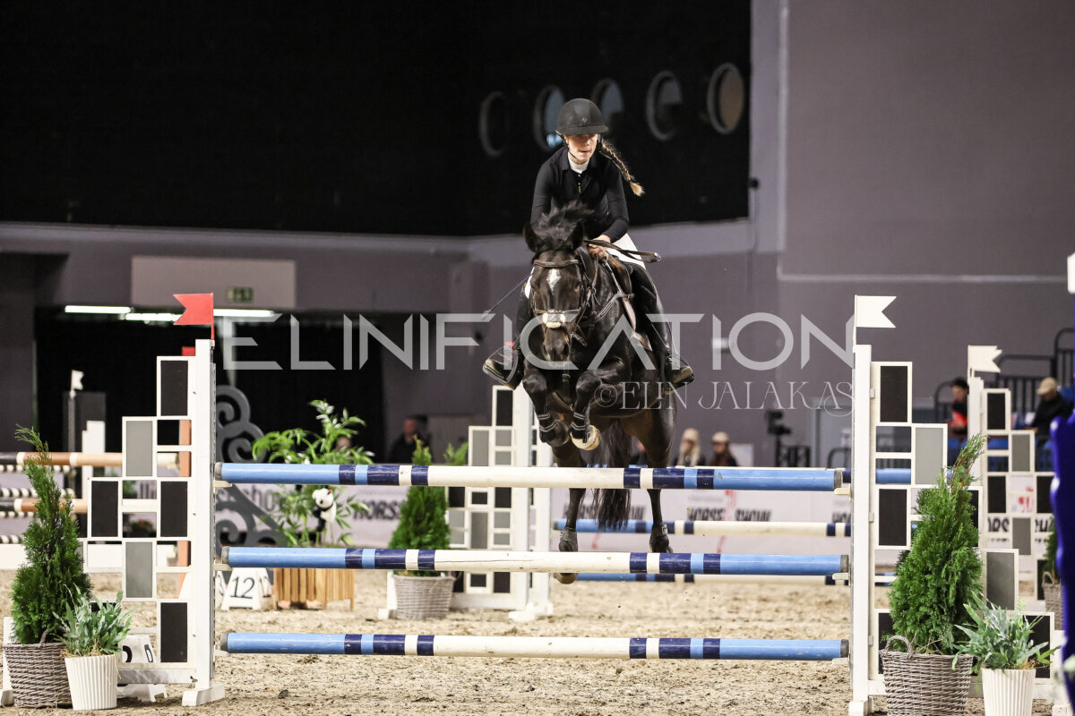 TIHS_2026_Prix-de-Nordic-Hotel-Forum_075