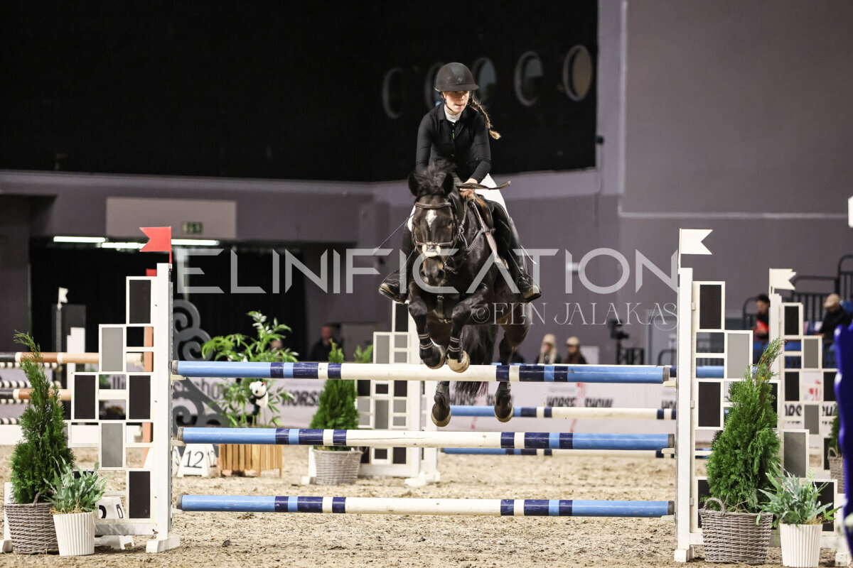 TIHS_2026_Prix-de-Nordic-Hotel-Forum_076