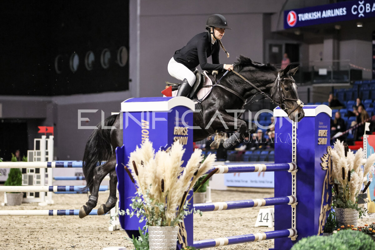 TIHS_2026_Prix-de-Nordic-Hotel-Forum_078