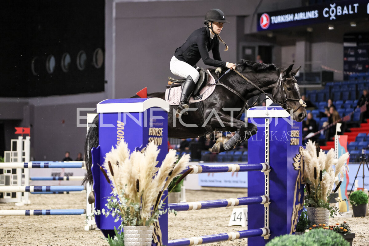 TIHS_2026_Prix-de-Nordic-Hotel-Forum_079