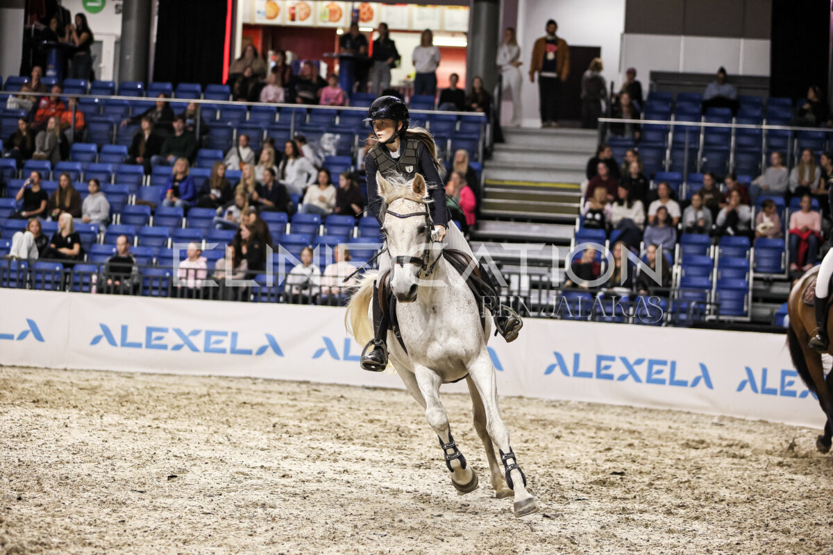 TIHS_2026_Prix-de-Nordic-Hotel-Forum_083