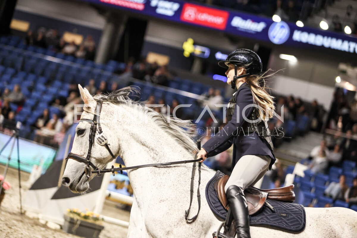 TIHS_2026_Prix-de-Nordic-Hotel-Forum_085