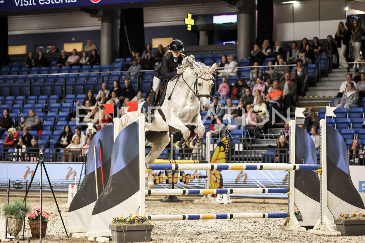 TIHS_2026_Prix-de-Nordic-Hotel-Forum_086