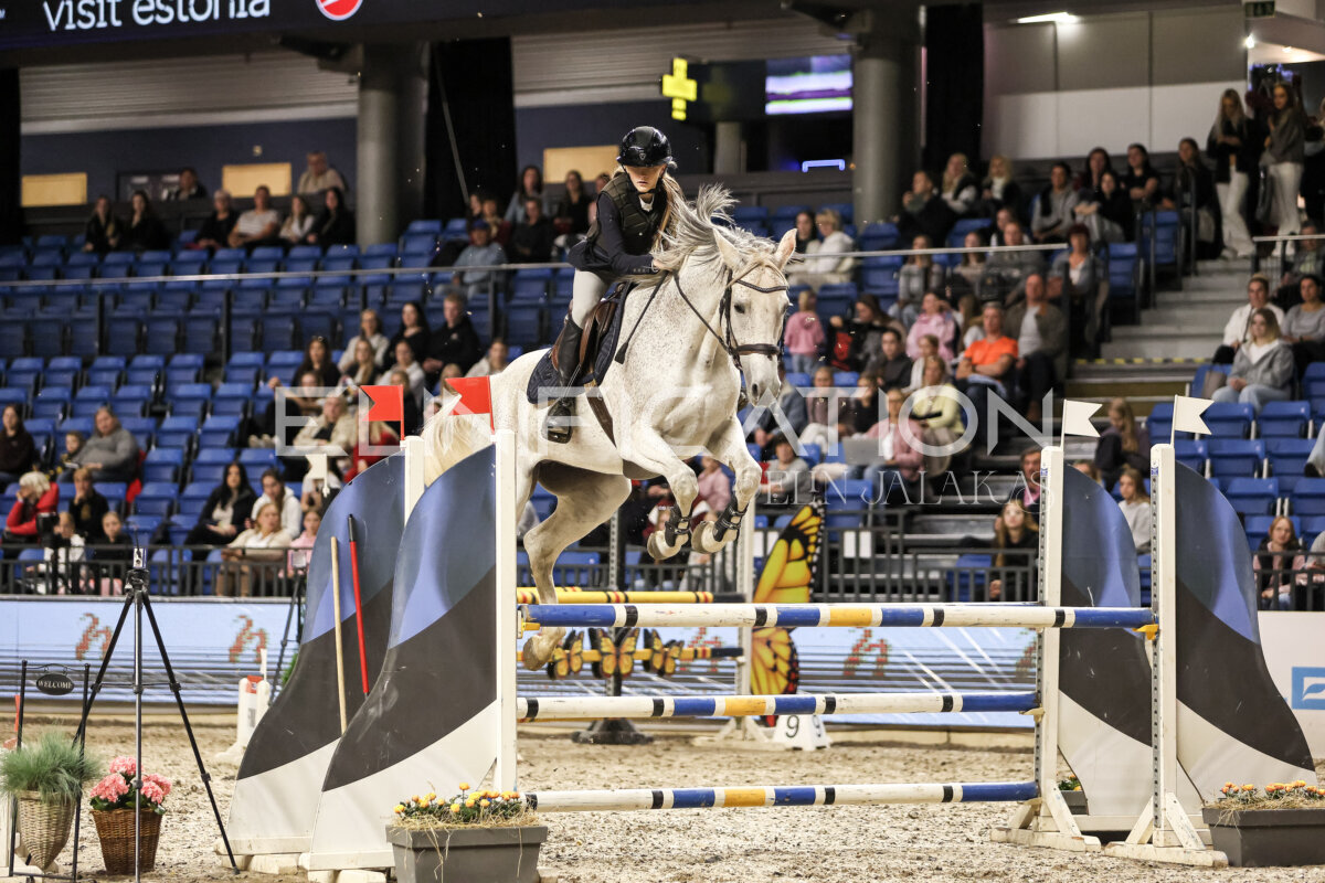 TIHS_2026_Prix-de-Nordic-Hotel-Forum_087