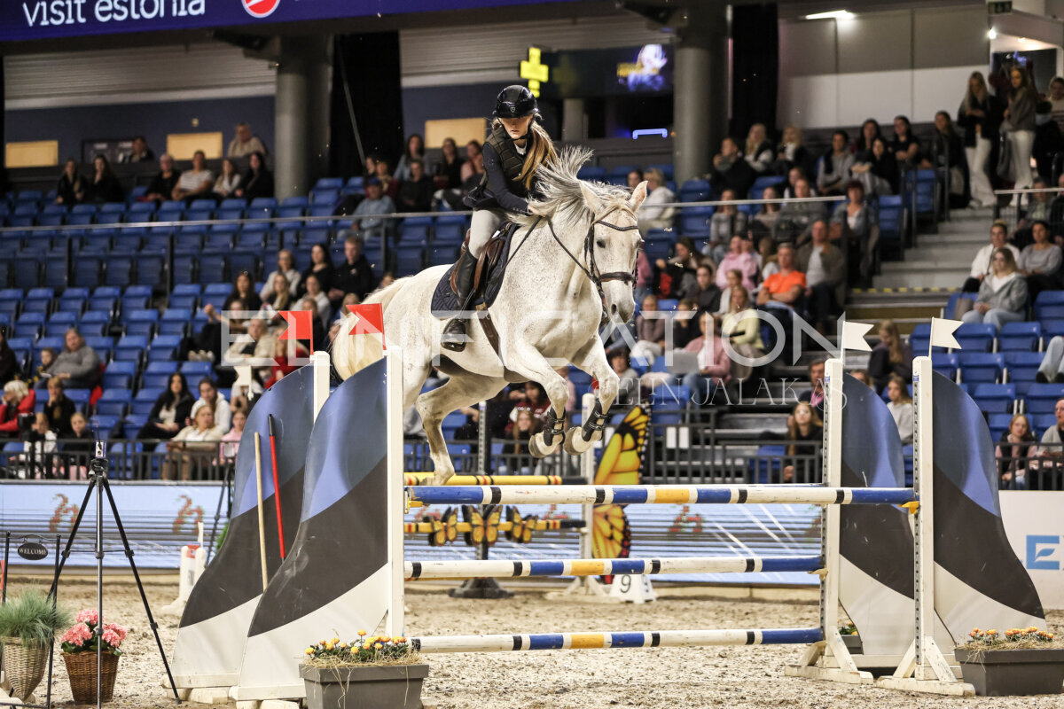 TIHS_2026_Prix-de-Nordic-Hotel-Forum_088