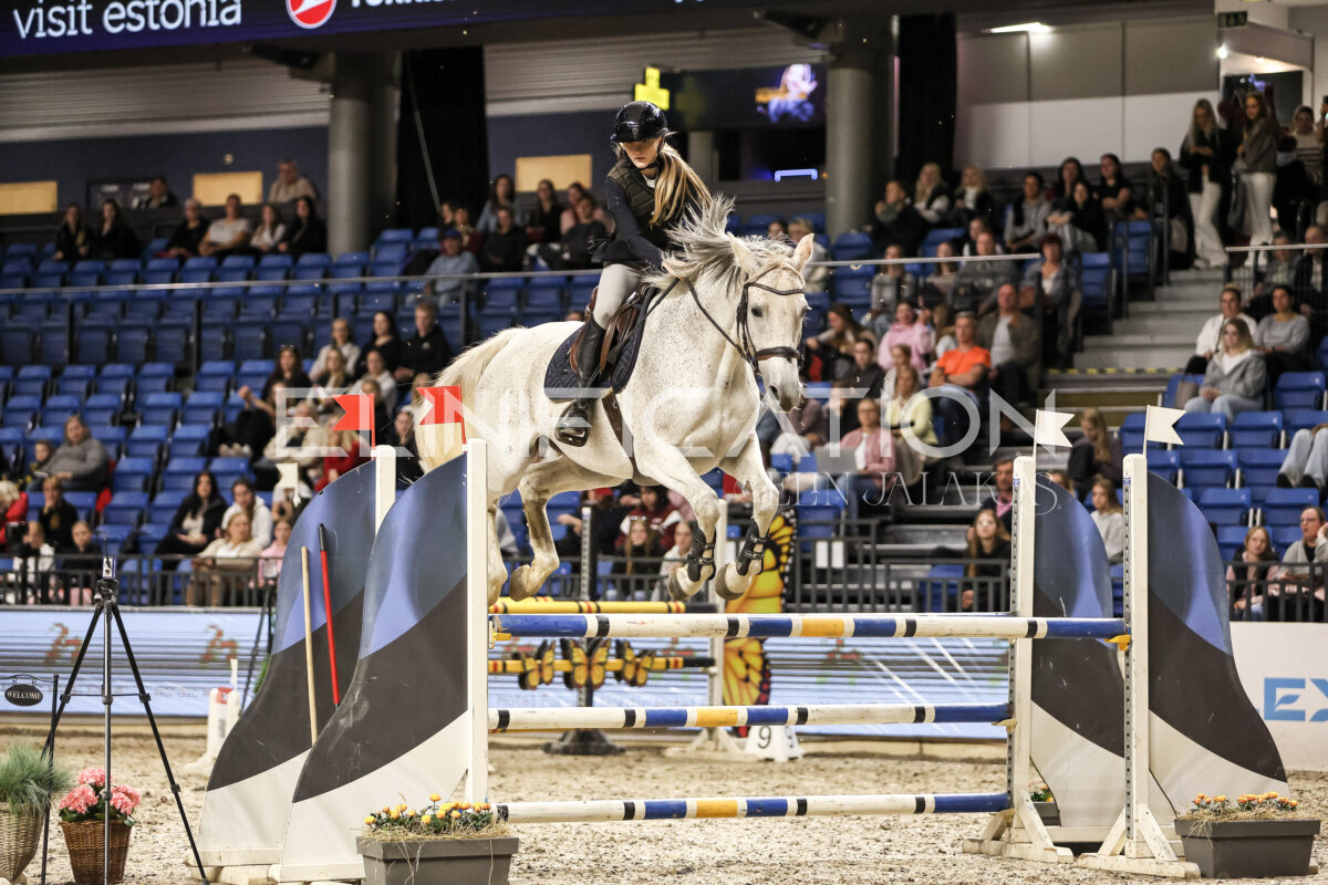 TIHS_2026_Prix-de-Nordic-Hotel-Forum_089