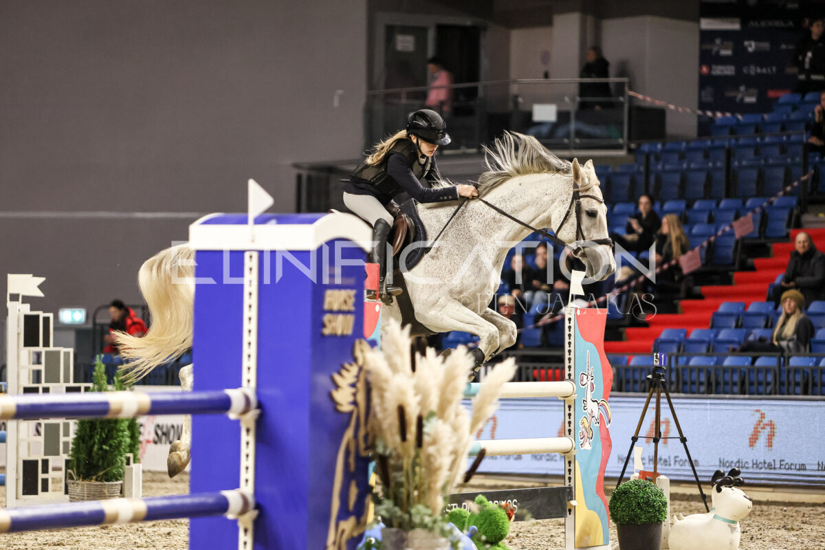 TIHS_2026_Prix-de-Nordic-Hotel-Forum_092
