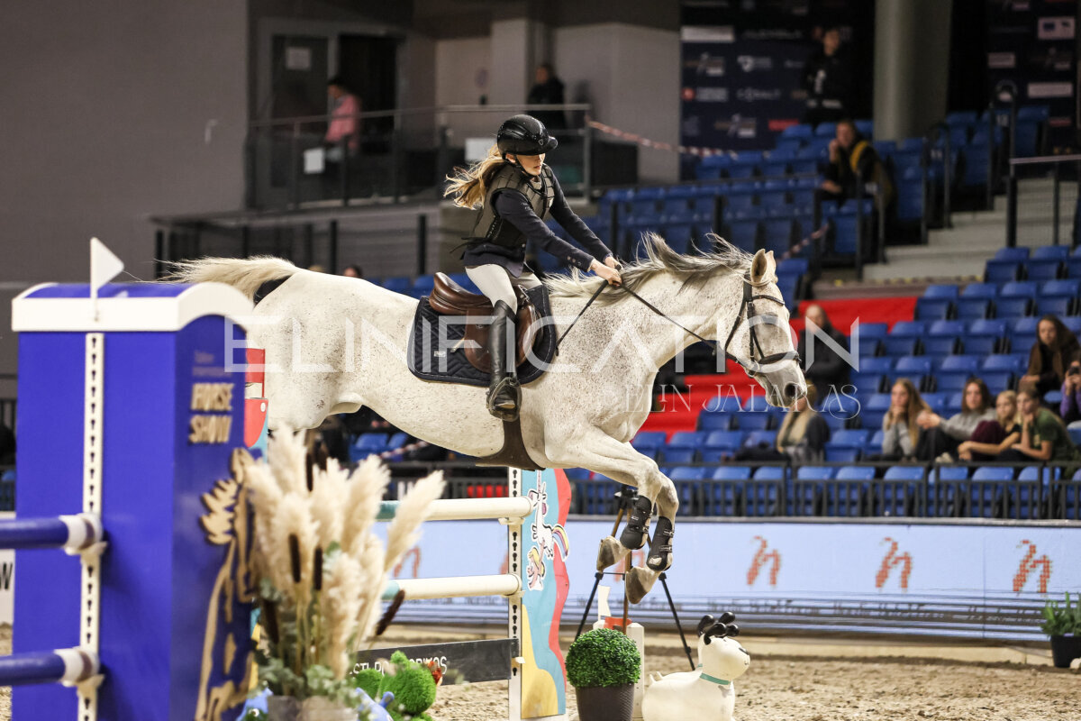 TIHS_2026_Prix-de-Nordic-Hotel-Forum_094