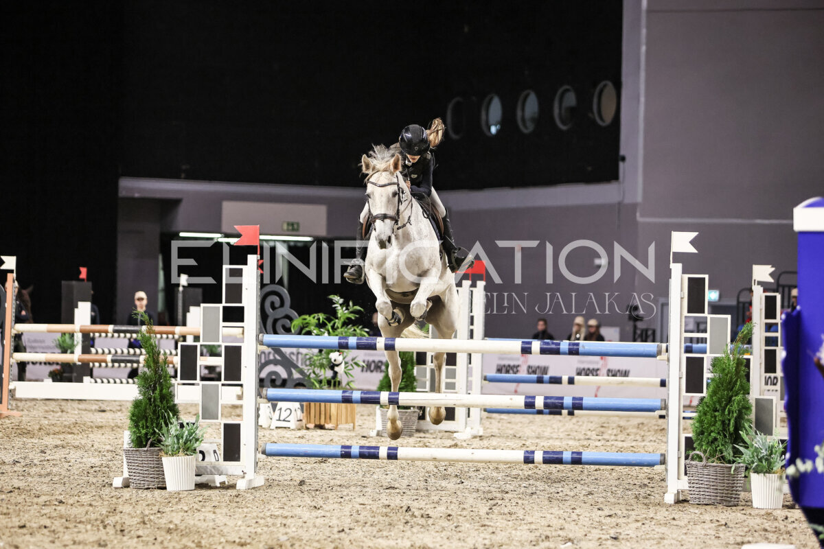 TIHS_2026_Prix-de-Nordic-Hotel-Forum_095