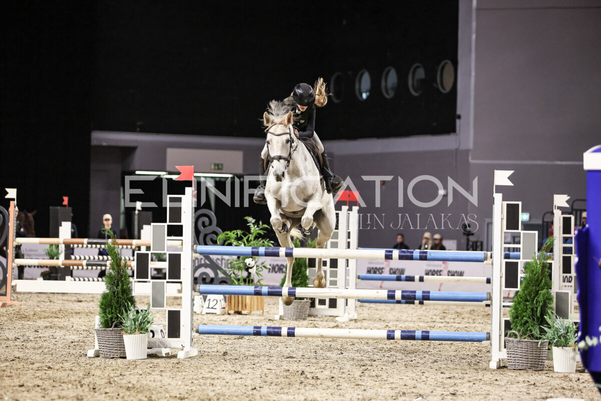 TIHS_2026_Prix-de-Nordic-Hotel-Forum_096