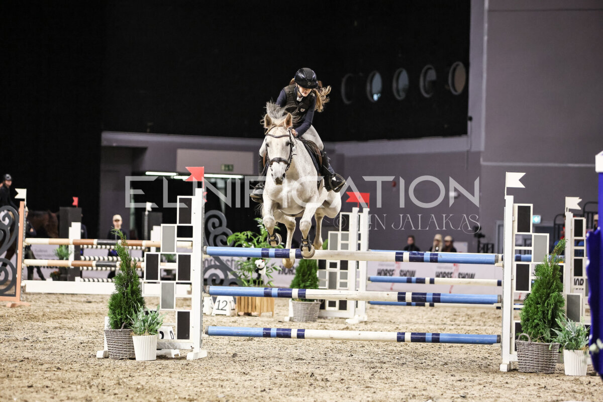 TIHS_2026_Prix-de-Nordic-Hotel-Forum_098
