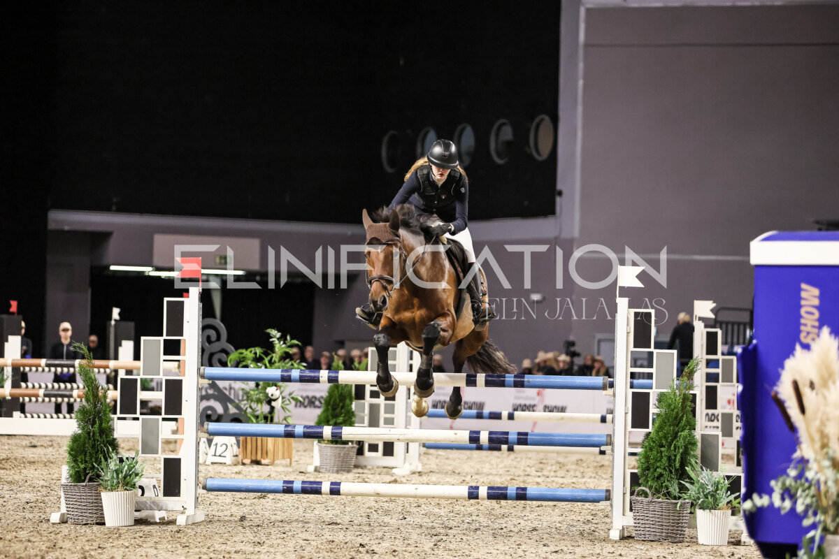 TIHS_2026_Prix-de-Nordic-Hotel-Forum_109