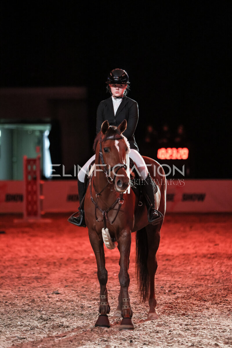 TIHS_2026_Prix-de-Nordic-Hotel-Forum_111