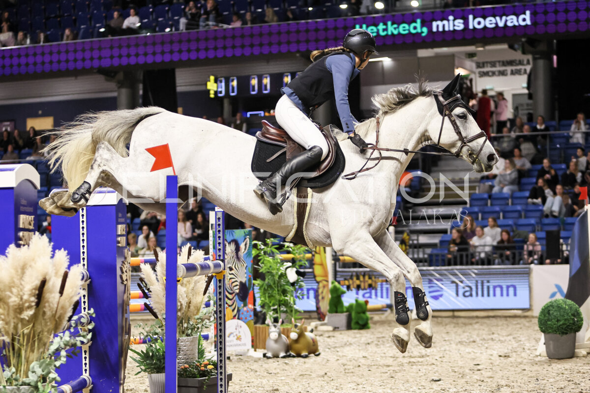 TIHS_2026_Prix-de-Tallinn_019