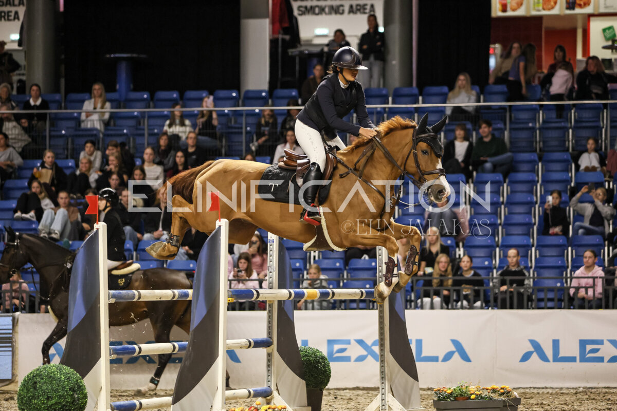 TIHS_2026_Prix-de-Tallinn_045