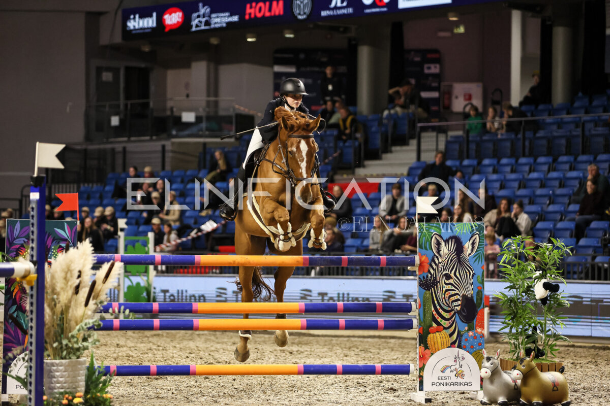 TIHS_2026_Prix-de-Tallinn_123