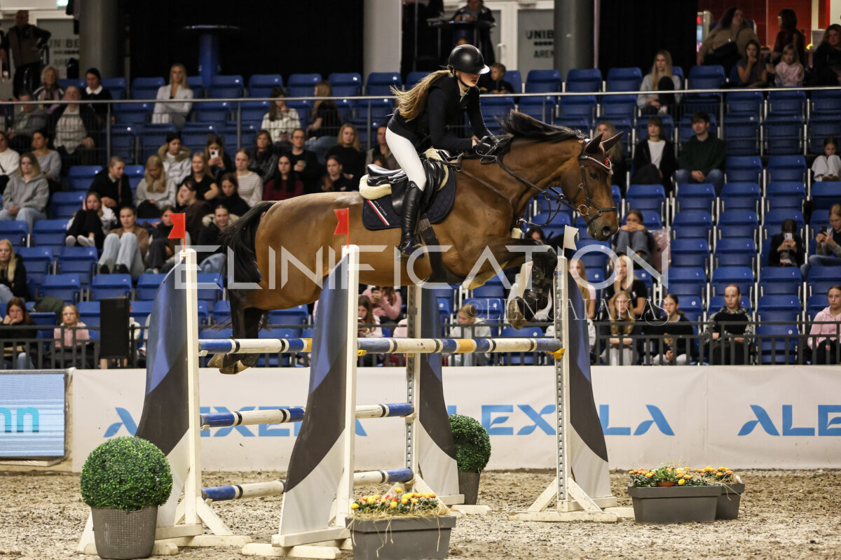 TIHS_2026_Prix-de-Tallinn_142