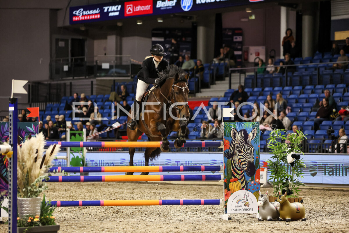 TIHS_2026_Prix-de-Tallinn_159