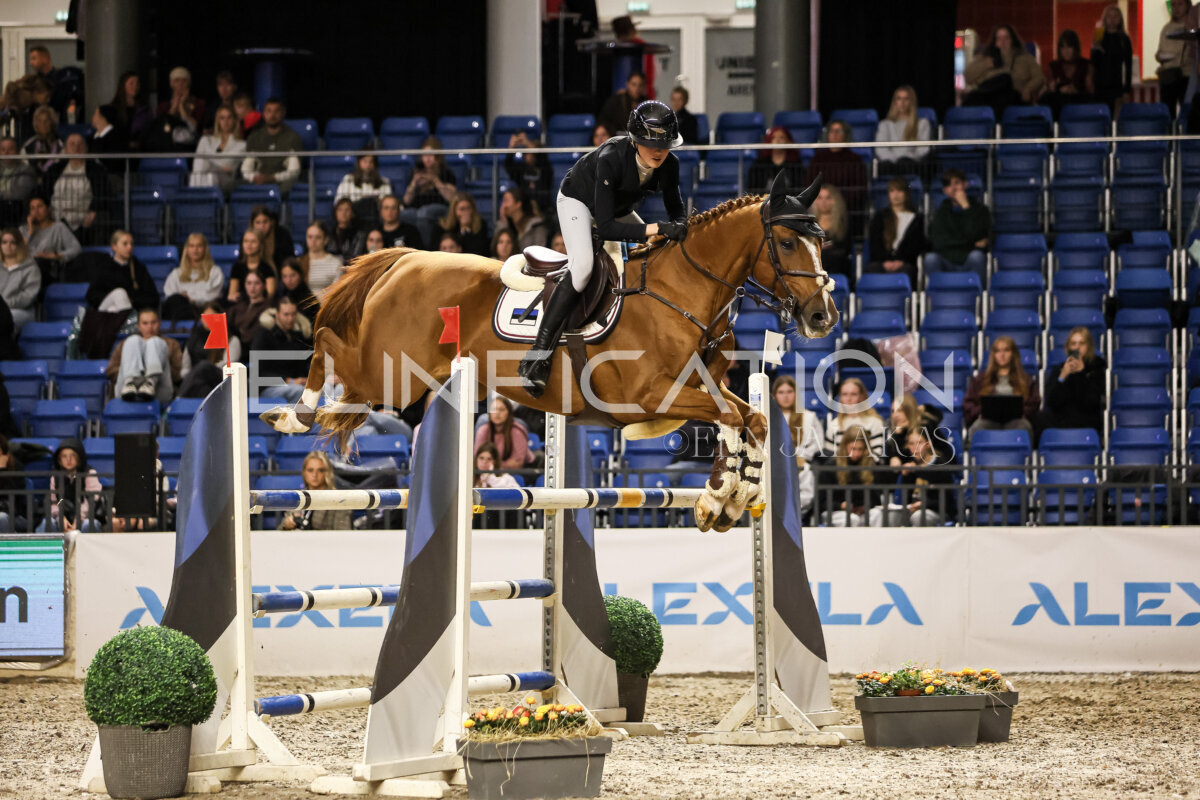 TIHS_2026_Prix-de-Tallinn_211