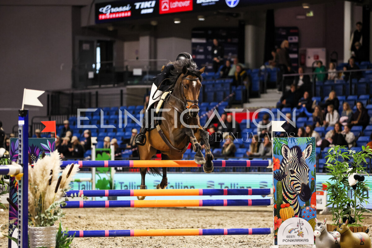 TIHS_2026_Prix-de-Tallinn_286