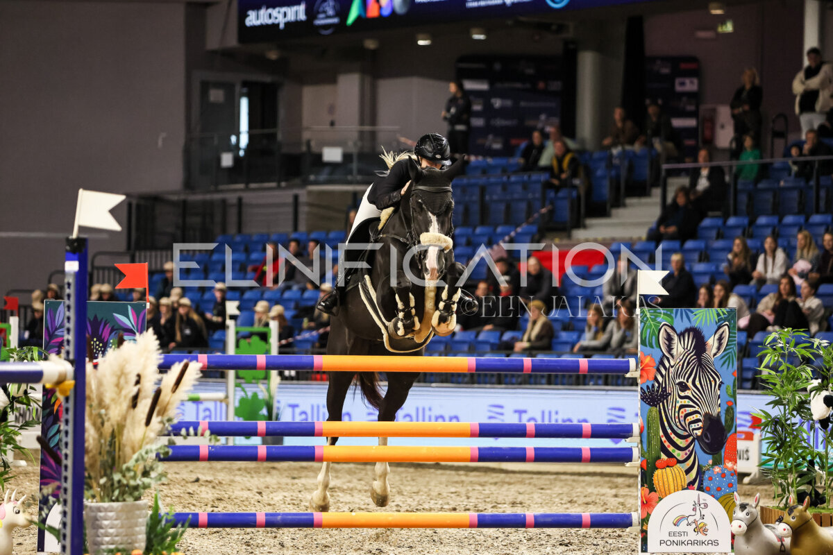 TIHS_2026_Prix-de-Tallinn_296
