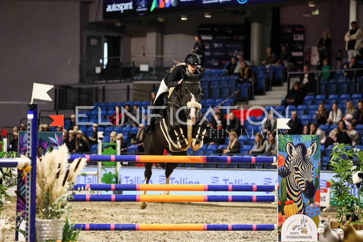 TIHS_2026_Prix-de-Tallinn_297