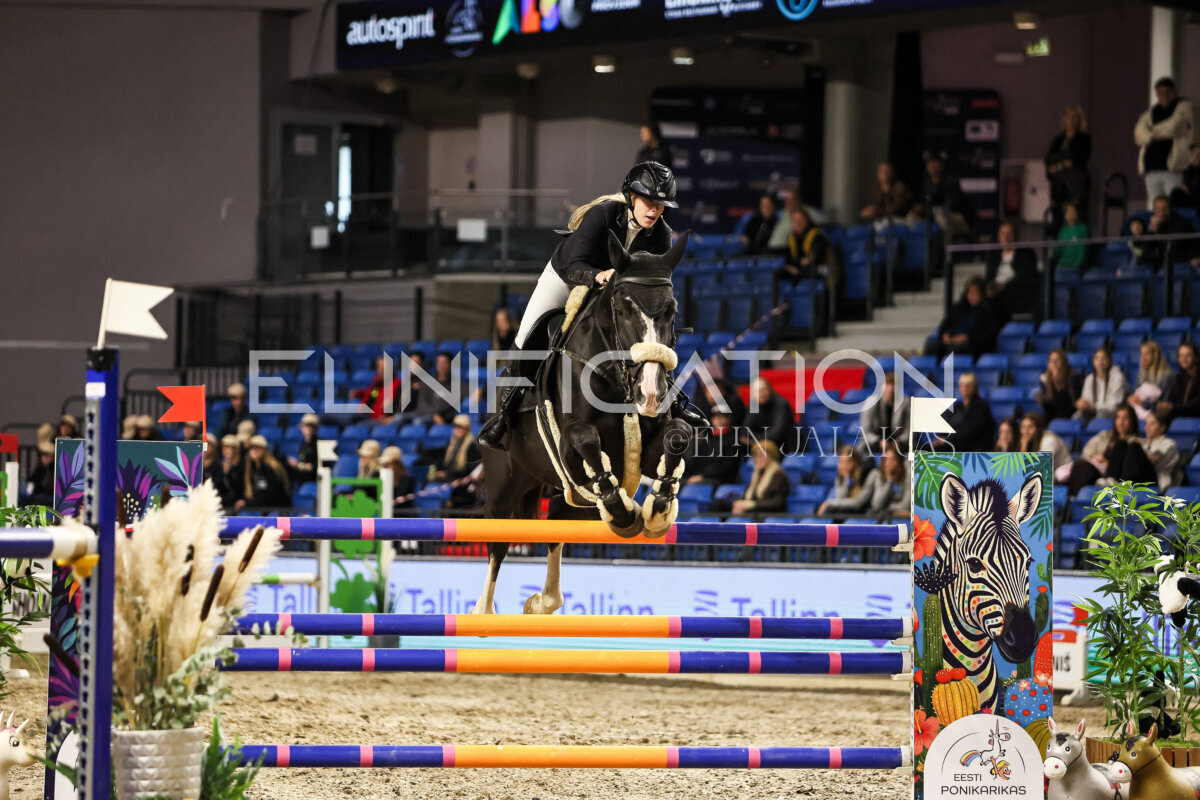 TIHS_2026_Prix-de-Tallinn_298