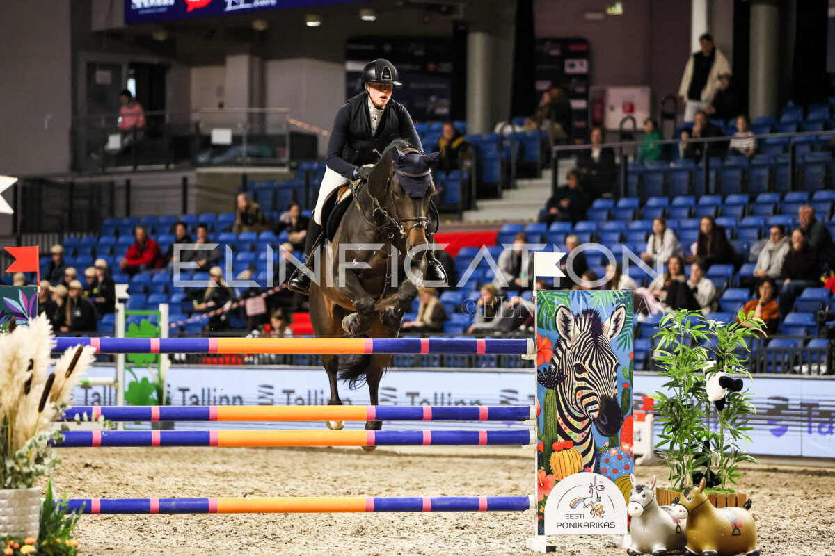 TIHS_2026_Prix-de-Tallinn_334