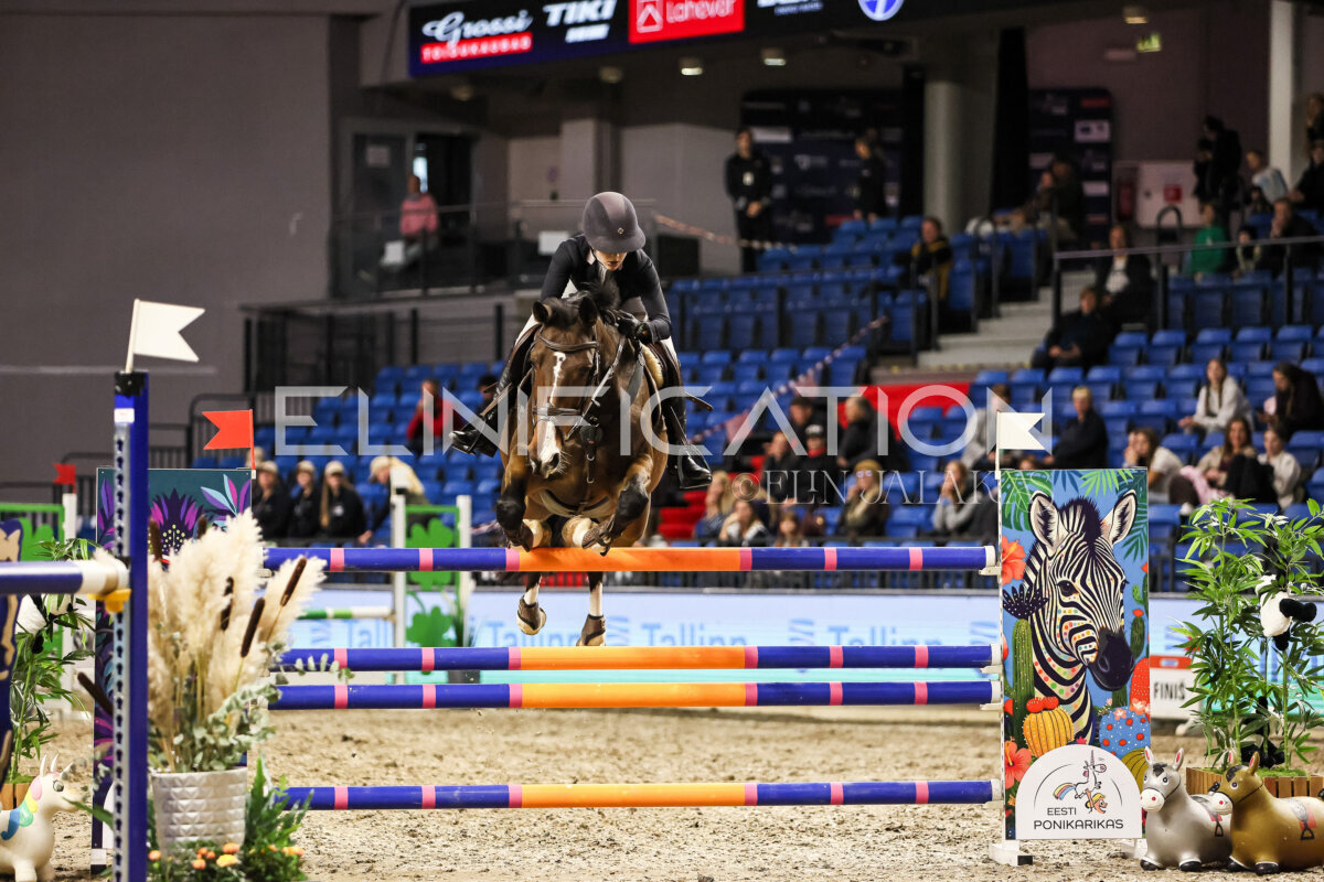 TIHS_2026_Prix-de-Tallinn_347