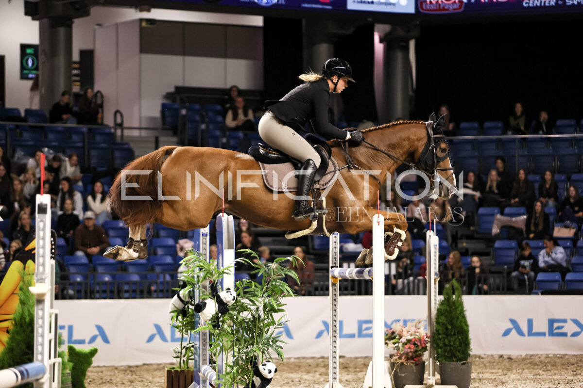 TIHS_2026_Prix-de-Ministry-of-Culture_175