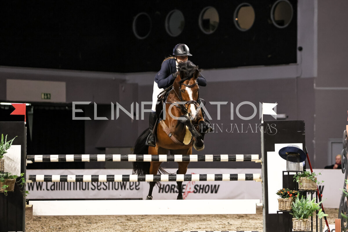 TIHS_2026_Prix-de-Ministry-of-Culture_286