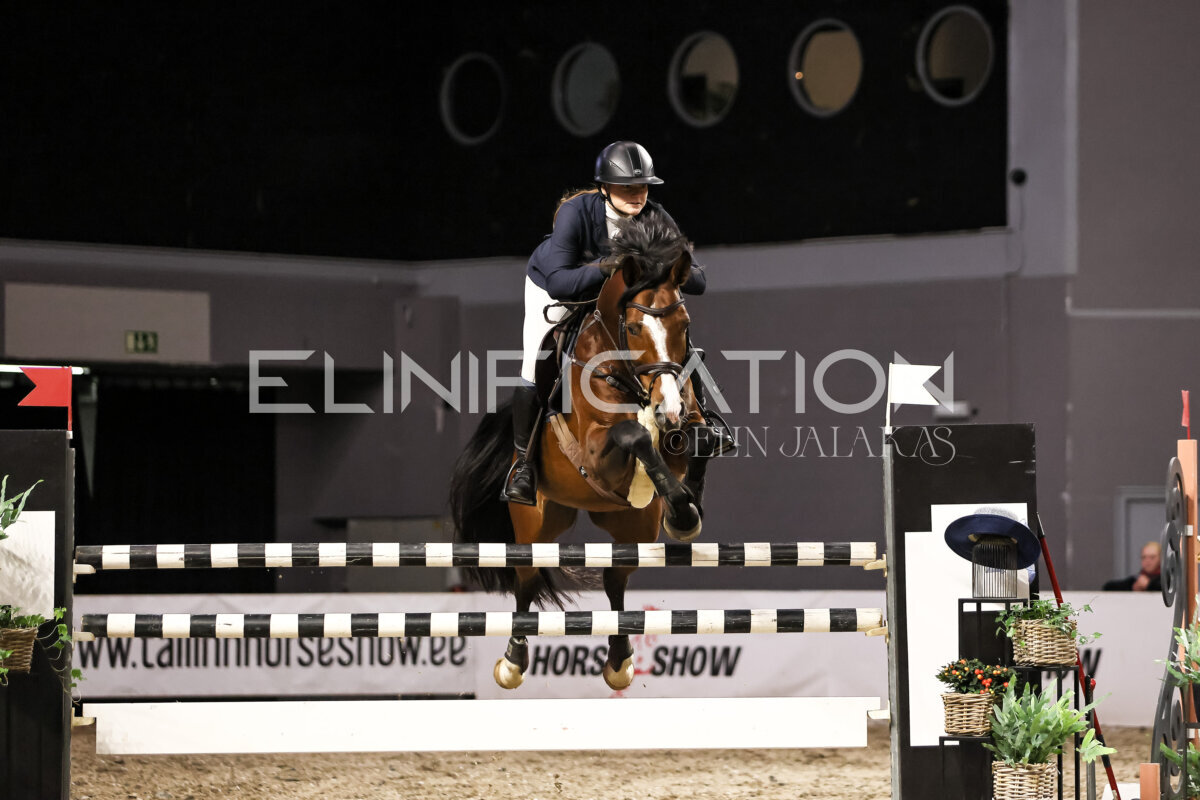 TIHS_2026_Prix-de-Ministry-of-Culture_287