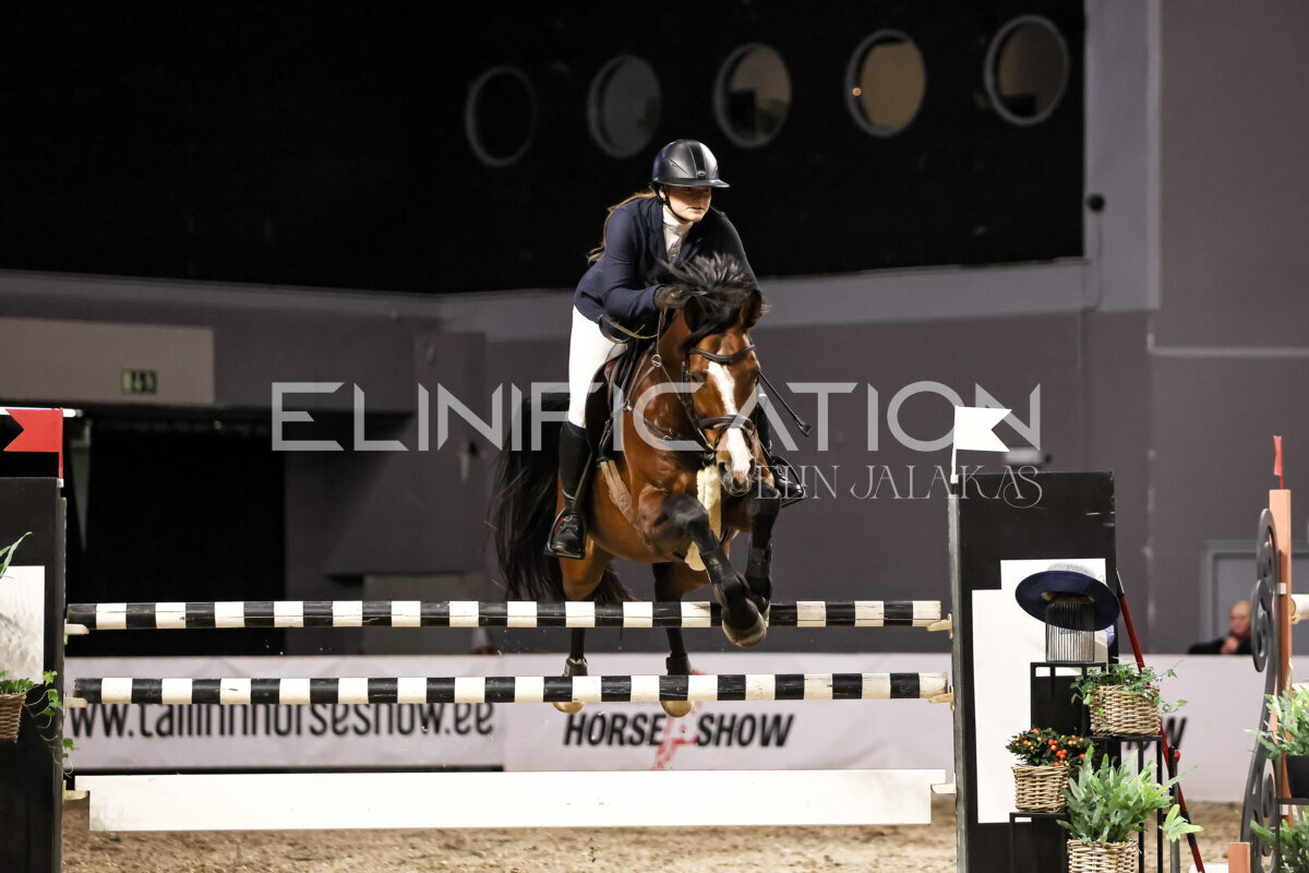 TIHS_2026_Prix-de-Ministry-of-Culture_288