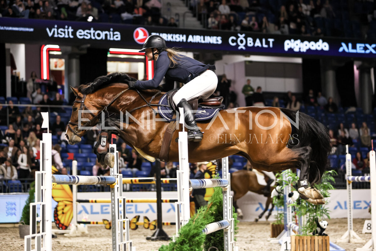 TIHS_2026_Prix-de-Ministry-of-Culture_296