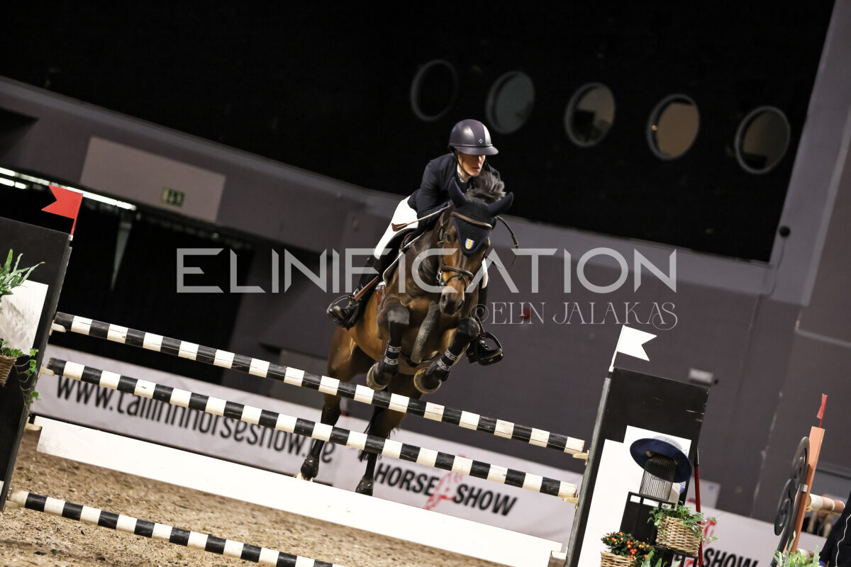 TIHS_2026_Prix-de-Ministry-of-Culture_348