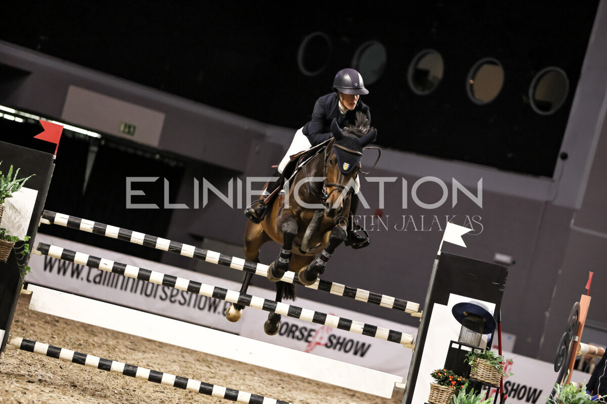 TIHS_2026_Prix-de-Ministry-of-Culture_349