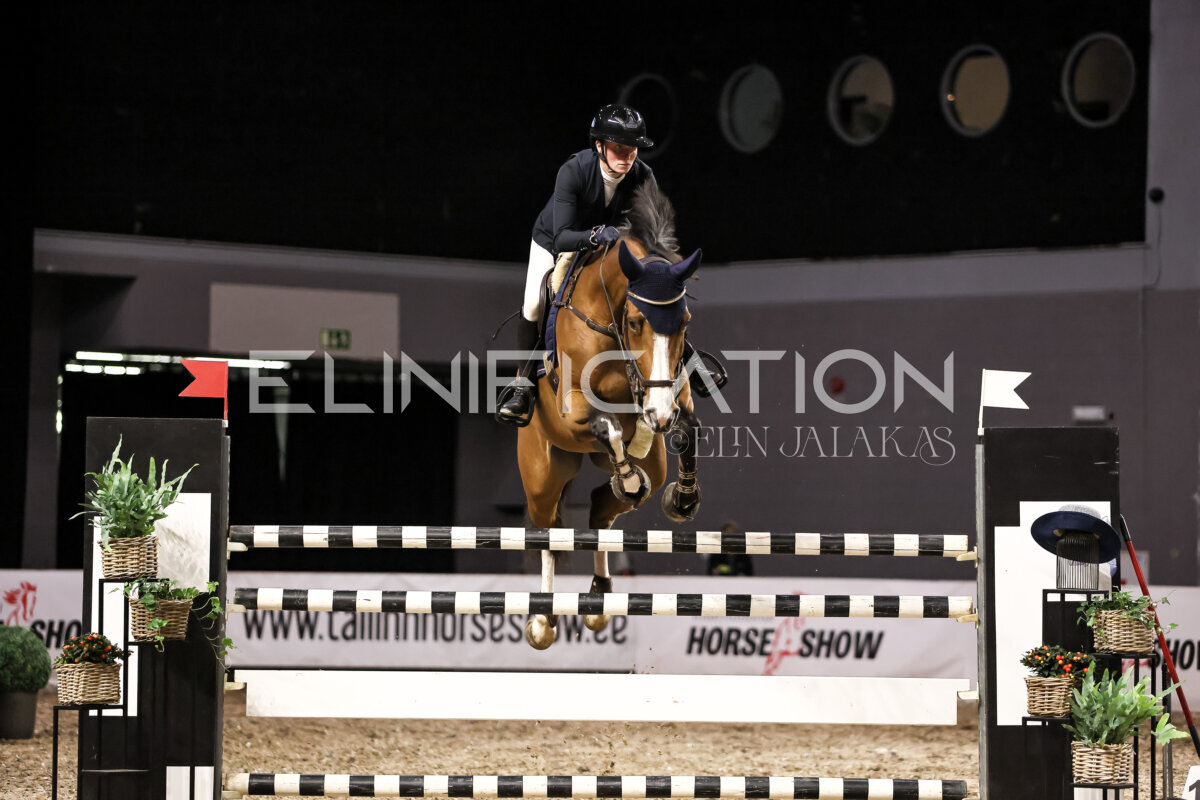 TIHS_2026_Prix-de-Ministry-of-Culture_379
