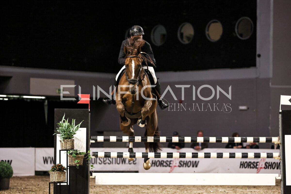 TIHS_2026_Prix-de-Ministry-of-Culture_466